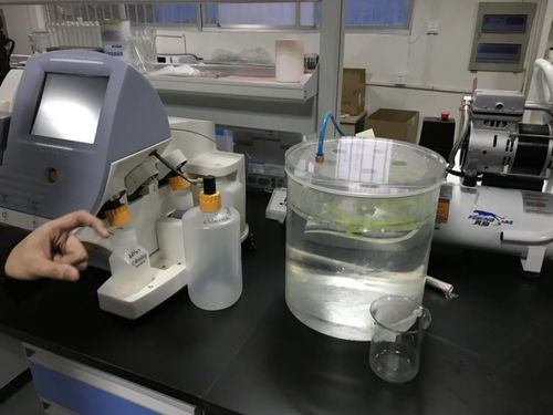 貝愛益生全國合伙人齊聚科爾工廠，零距離見證羊初乳CPP復合粉安全生產與網絡安全技術研發